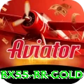 bx55 BR Gold