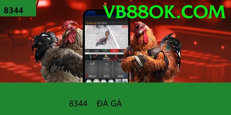 Đá Gà Trực Tiếp - vb88 - Pre-register