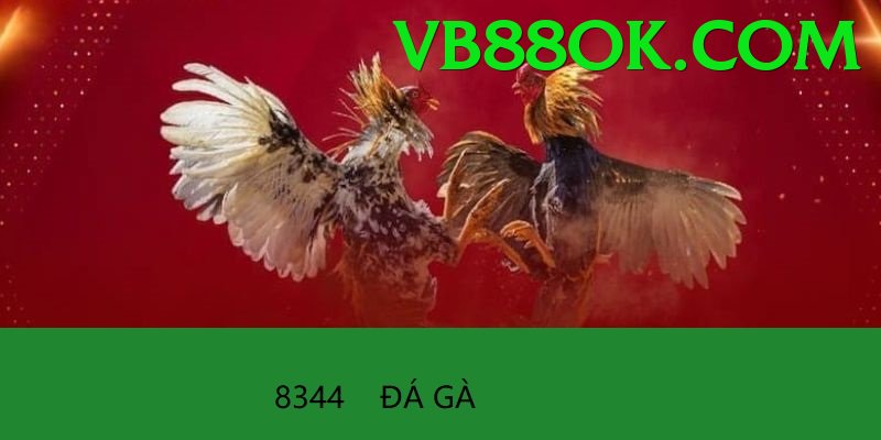 Đá Gà Trực Tiếp - Ưu đãi đặc biệt - PC