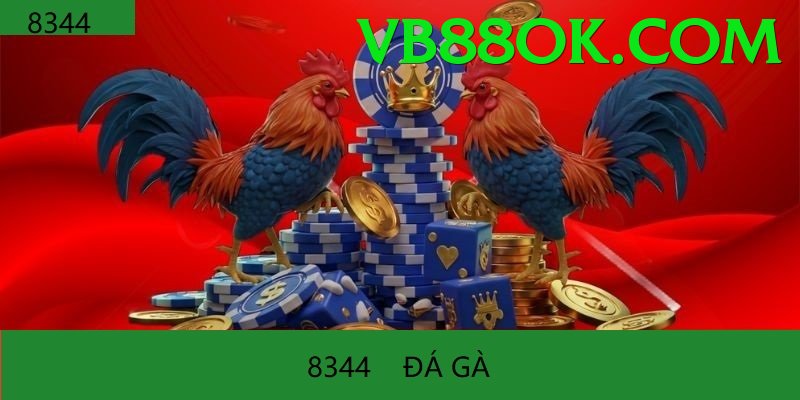 Đá Gà Trực Tiếp - Trải nghiệm tuyệt vời - Arena